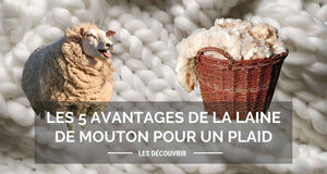 Les 5 avantages de la laine de mouton pour un plaid