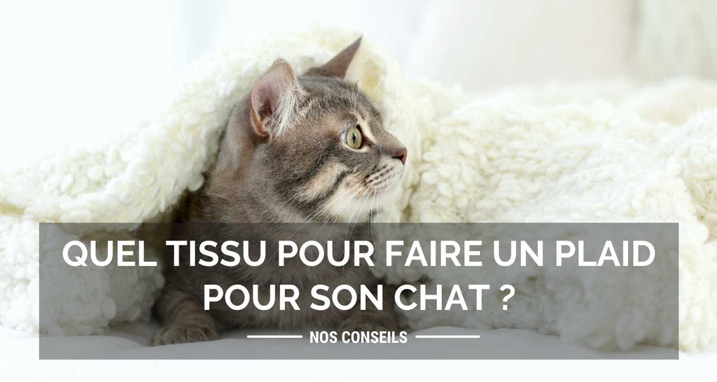 Quel tissu pour faire un plaid pour son chat ?