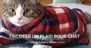 Comment tricoter un plaid pour chat ? Tuto facile et rapide