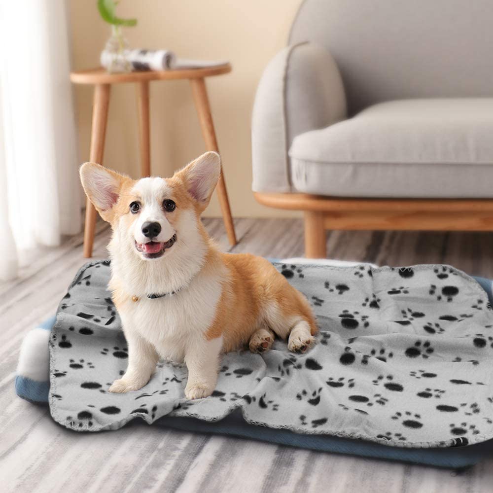 Plaid patte de chien
